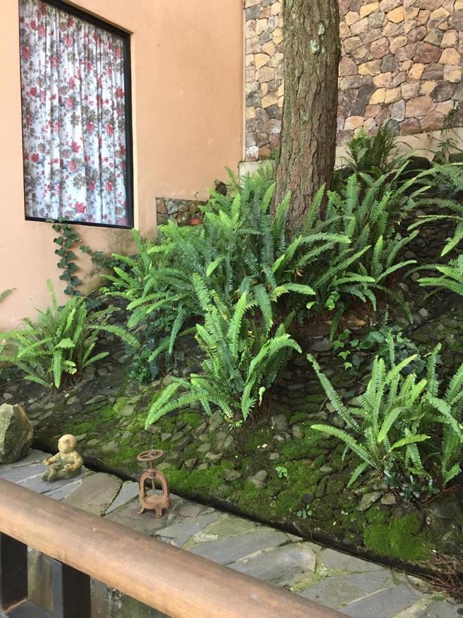 Mi Casa De Valle فالي دي برافو المظهر الخارجي الصورة